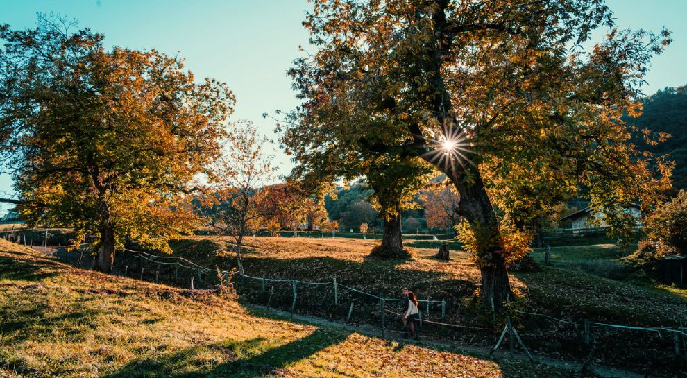 autunno-in-vallagarina-foto-di-luca-matassoni